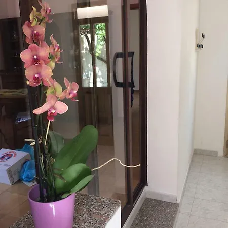 Luisa Rossi Теулада